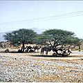 Image (17)