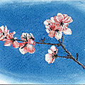 Carte Postale 1