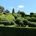 IMG_7014