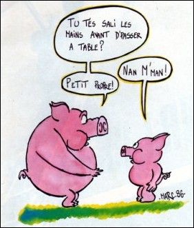 Humour De Cochons Blog De Kilian37