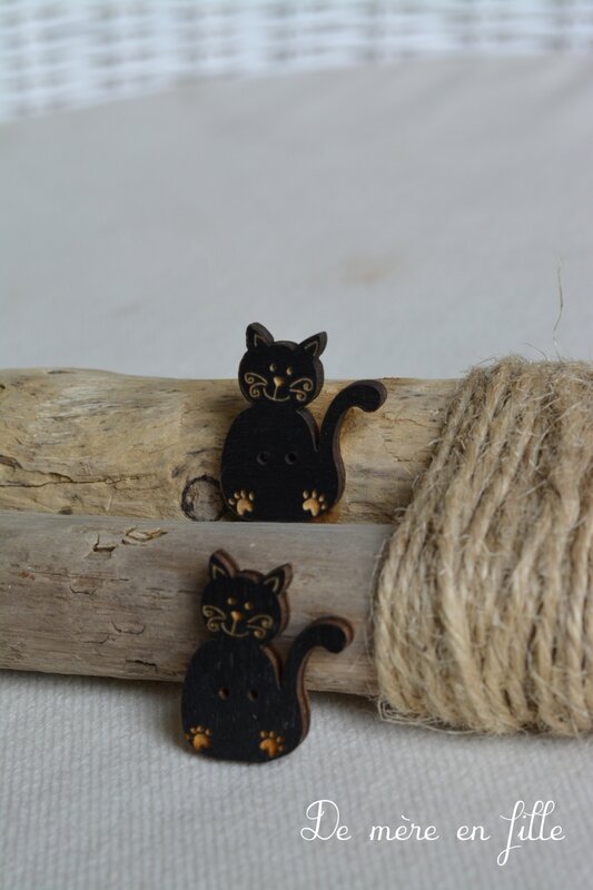 chat noir