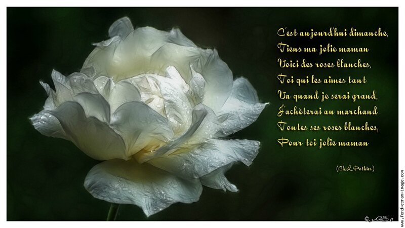 Avec Toi Le Monde Est Rose BONNE FETE MAMAN - L'écrin du Bonheur