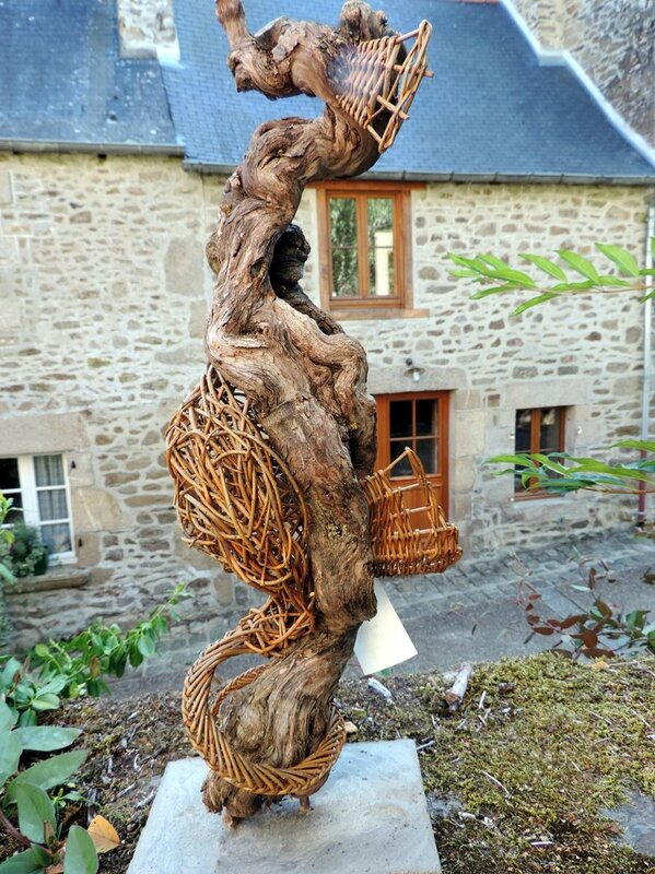 _copie-0_DSCN9498