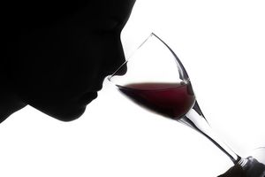 degustation-vin