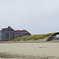 IMGP0834