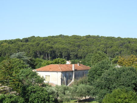 2005_0101vuedestoits20090669