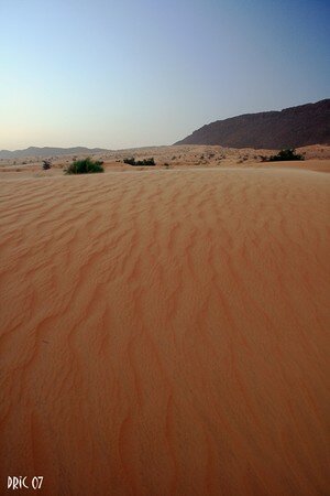 mauritanie_2630
