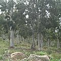 CIMG5637