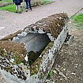 IMGP4148