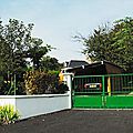 IMGP8343