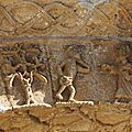 IMG_3177