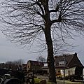 _IGP3581
