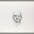 Michael Joo, Untitled skull drawing diptych (1), 2006