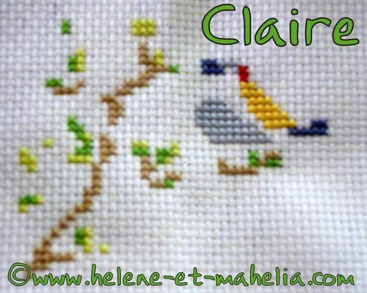 claire GB FR_saljuil15_6