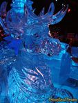 DSC04018