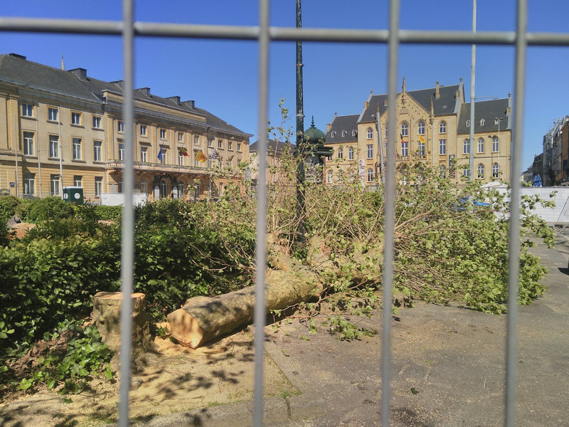 PHOTO DE JULIE BERTRAND _n
