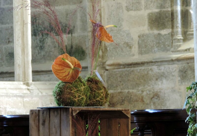 _copie-0_DSCN9741