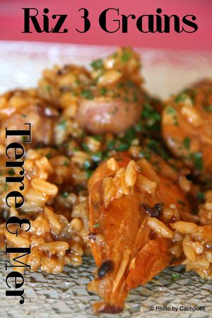 RIZ_SAVEUR_TERRE___MER_TITRE