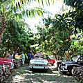 P1280873 (Copier)
