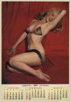081955_galleryphoto_portrait_std