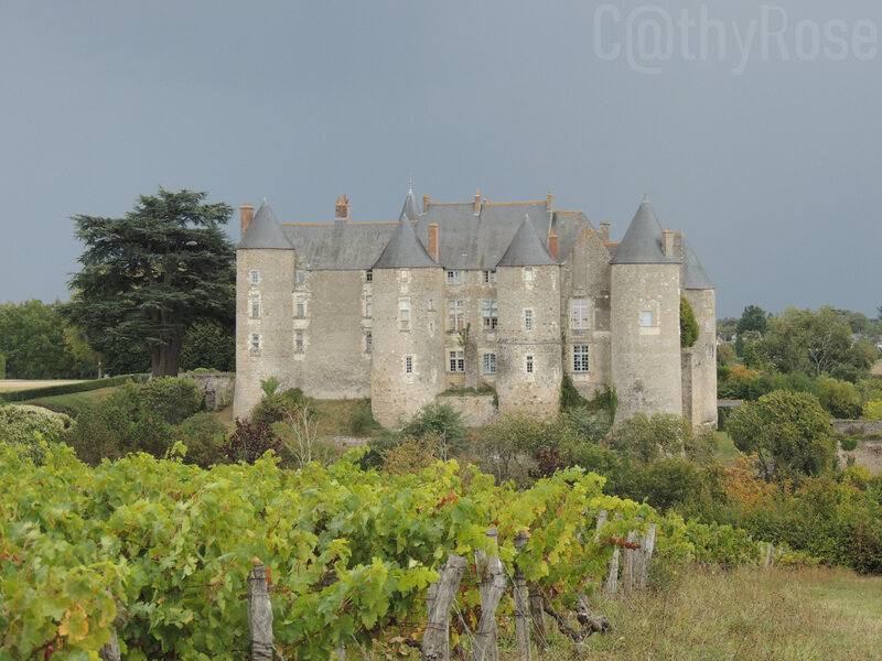 && Luynes château (6)