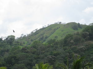 IMG_0382