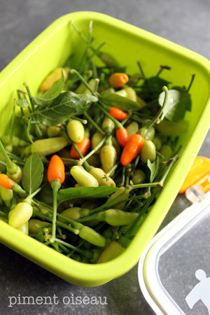 piment