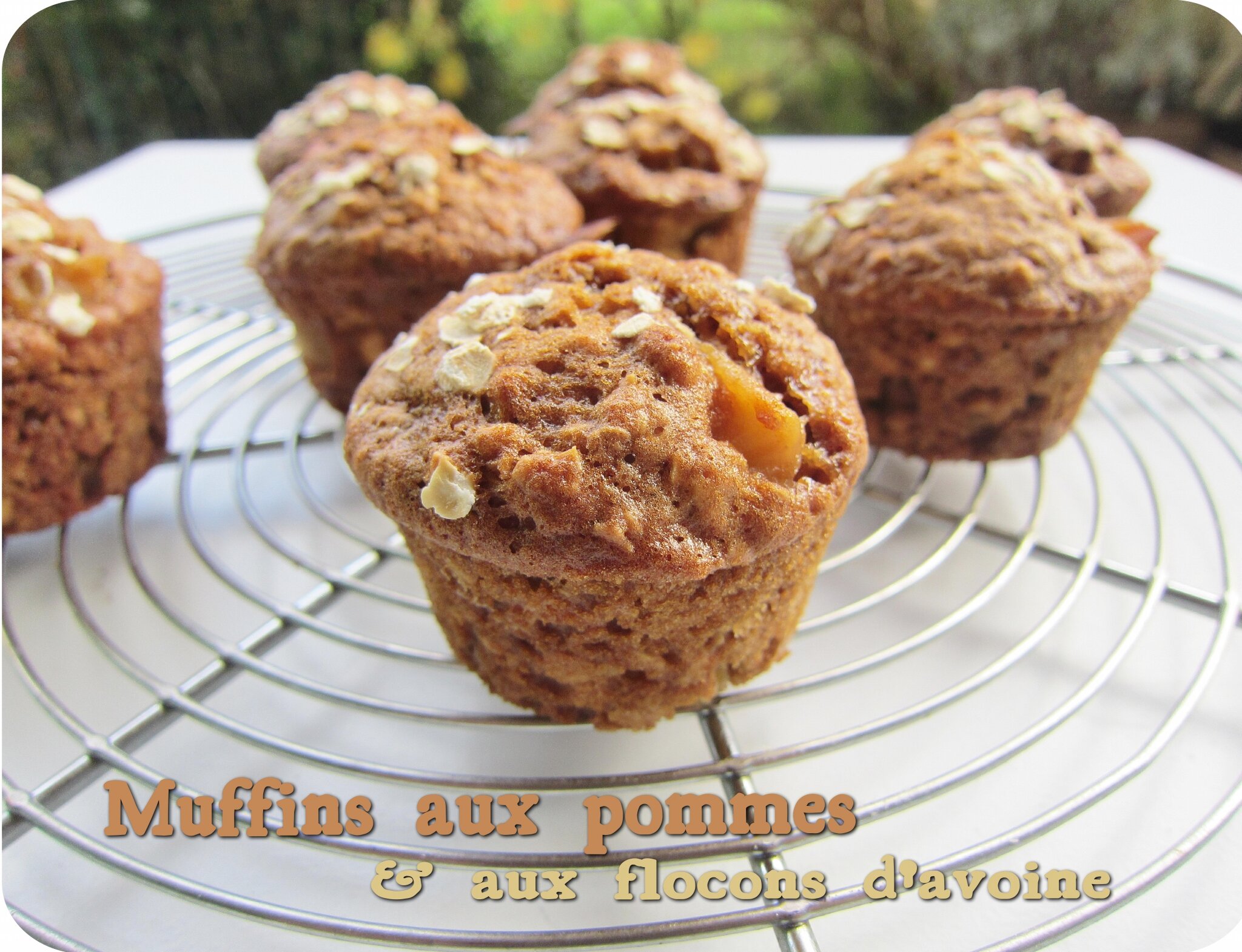 Muffins Aux Pommes Flocons D Avoine Cuisine Et Dependances