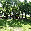 P1100421