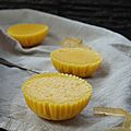 Bouchees de mangue au citron confit