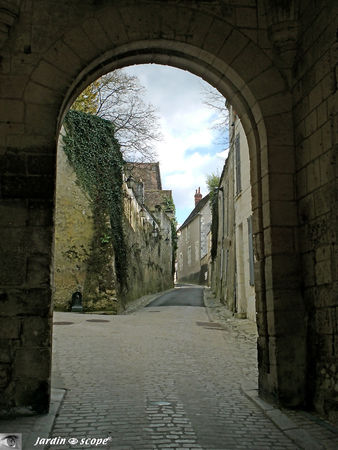 CIMG8565