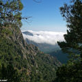 Au dessu des nuages sur la route du Col de Saint-Eustache