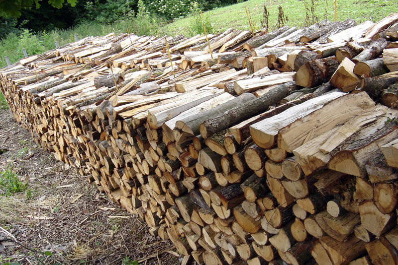 bois1-23