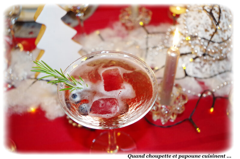 cocktail pétillant cranberries et limoncello-7784
