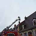 IMGP0926