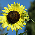 P1066264