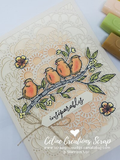 Cartes Libre comme un oiseau -3