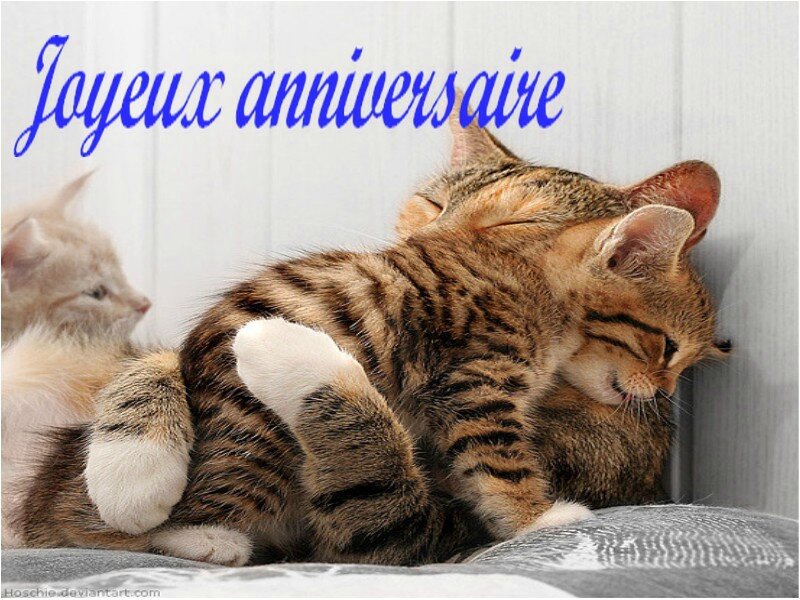 Joyeux Anniversaire Les Coups De Coeur Et Bidouilles De Nini