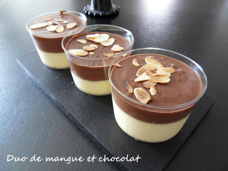 Duo de mangue et chocolat1