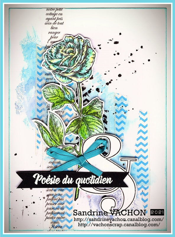 Sandrine VACHON 679 DT PCC (1)