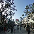 Santa Monica & Venice Beach (524)