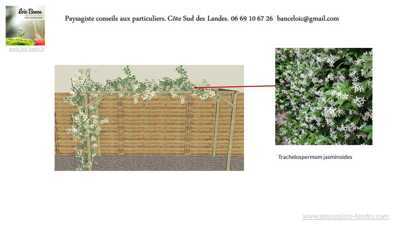 Paysagiste-Saint-Martin-de-Seignanx-Paysagiste-Landes-avril-2022-62