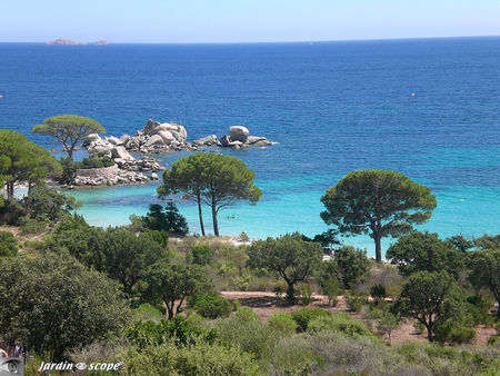 Corse