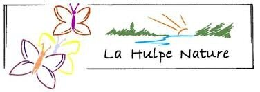 Hulpe