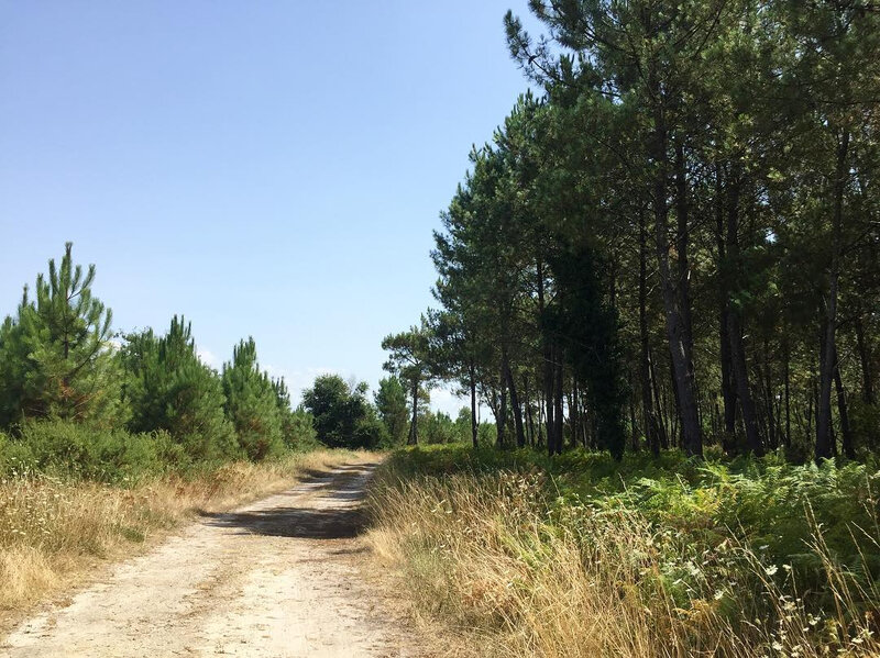 Photo-piste-Landes-Escource