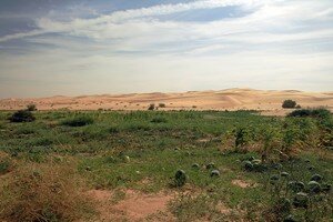 mauritanie_5210