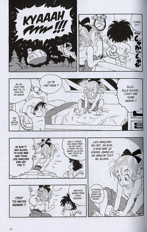 Canalblog Manga Dragonball 13 Edition VF