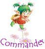 bouton commander 1