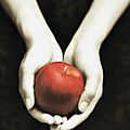 Twilight #1 Fascination Stephenie Meyer