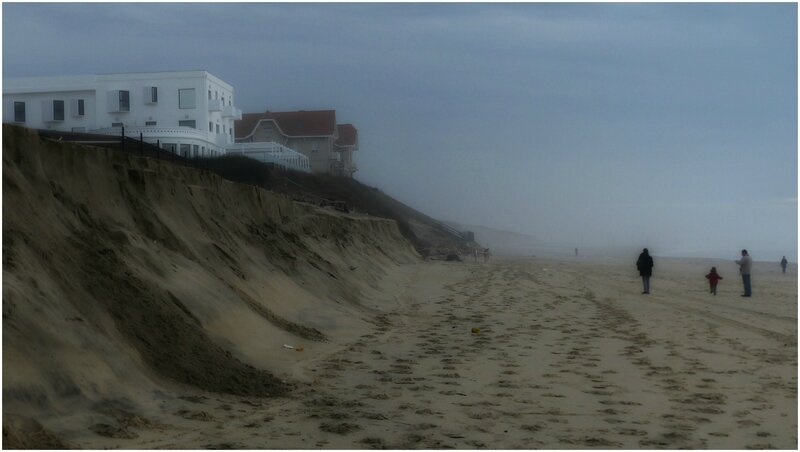 Biscarrosse Plagesuite Ecologie Vraie Et Réelle